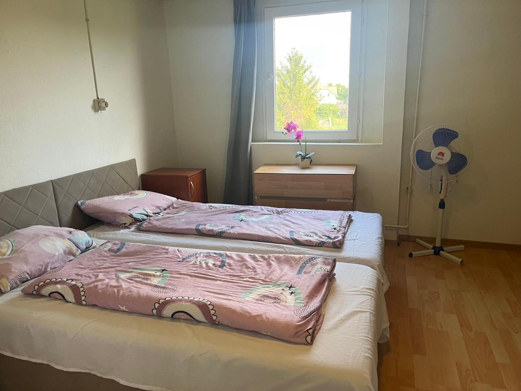 Apartmán Rose Garden Siófok Exteriér fotografie